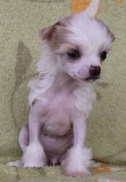 China inyour Hands Quickly in Love