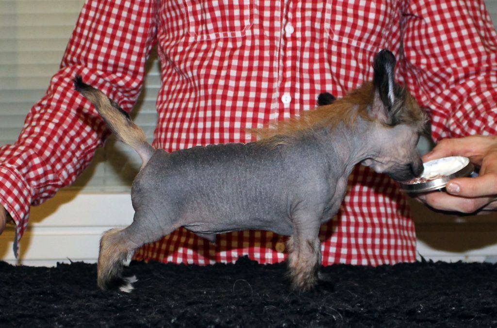 Arte Figure Hangover