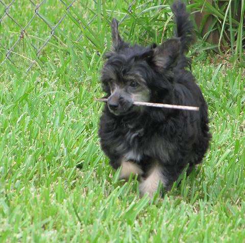 Kalypso's Your Making Me Crazy