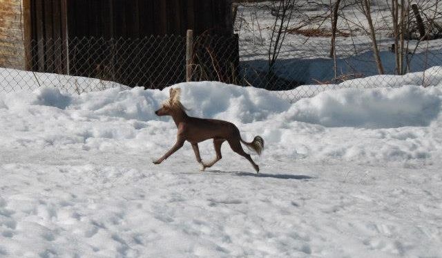 Love Bites Calling Dr. Love