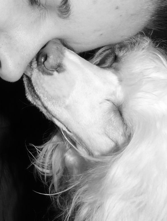 Hypnòse von Shinbashi