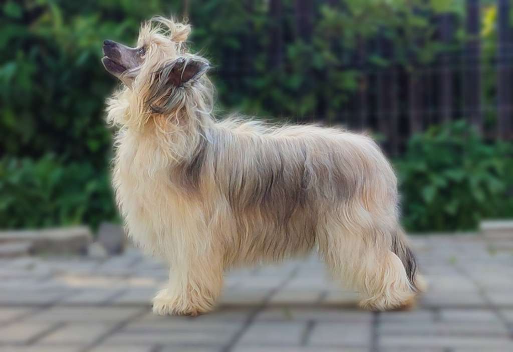 Sasquehanna Zlota Sobota