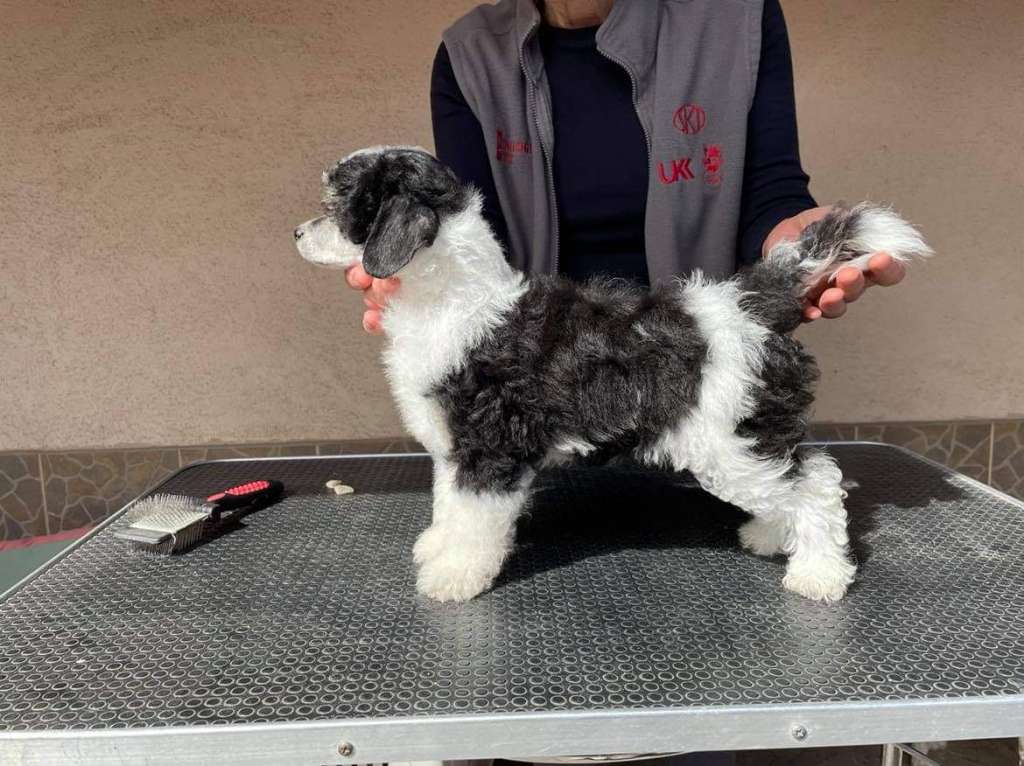 Family Song's Emilio