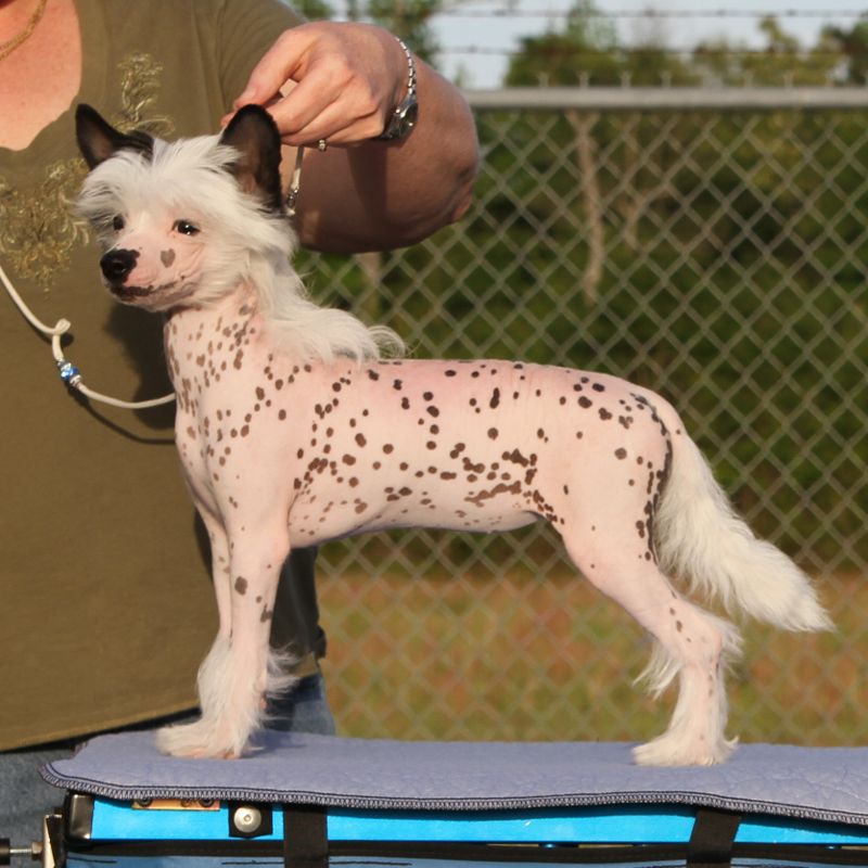 JRF-Evercrest Stand and Deliver At Belews