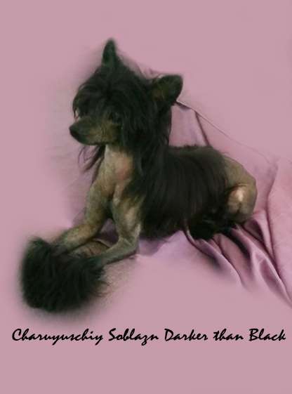 Charuyuschiy Soblazn Darker than Black