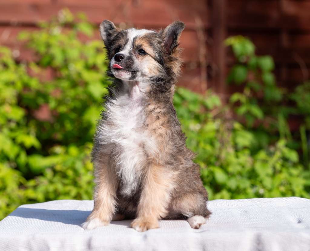 Mojito Modern Family