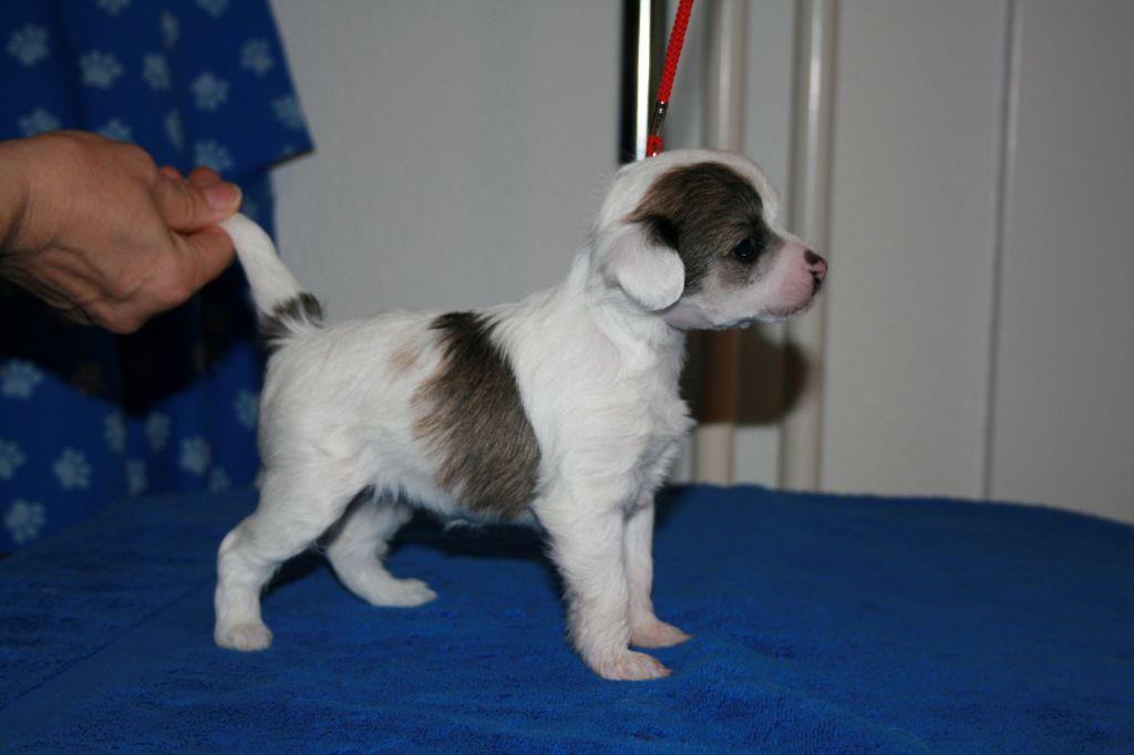 Kimberly Fantasy Island