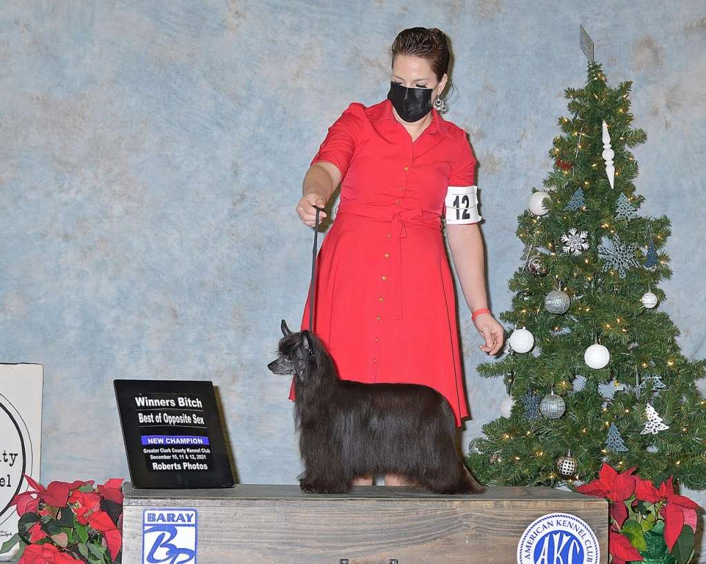 MyAngel-SNT Let ur Hair Down at Country Star