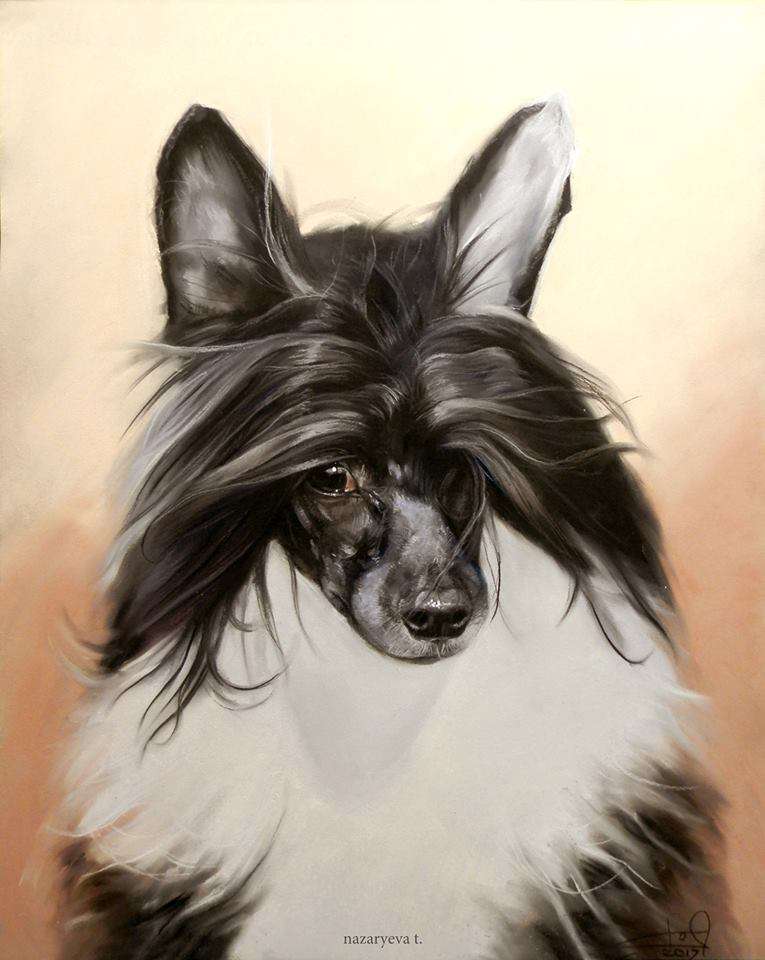 Apriori Vip Halloween