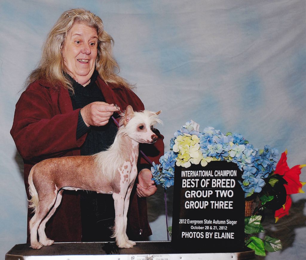 Castlecoves Atlantica