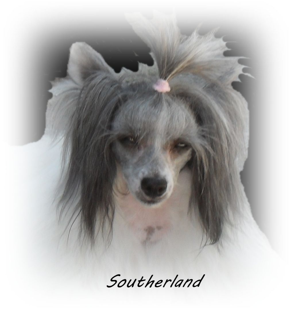 Anna Bolena Della Castafiore