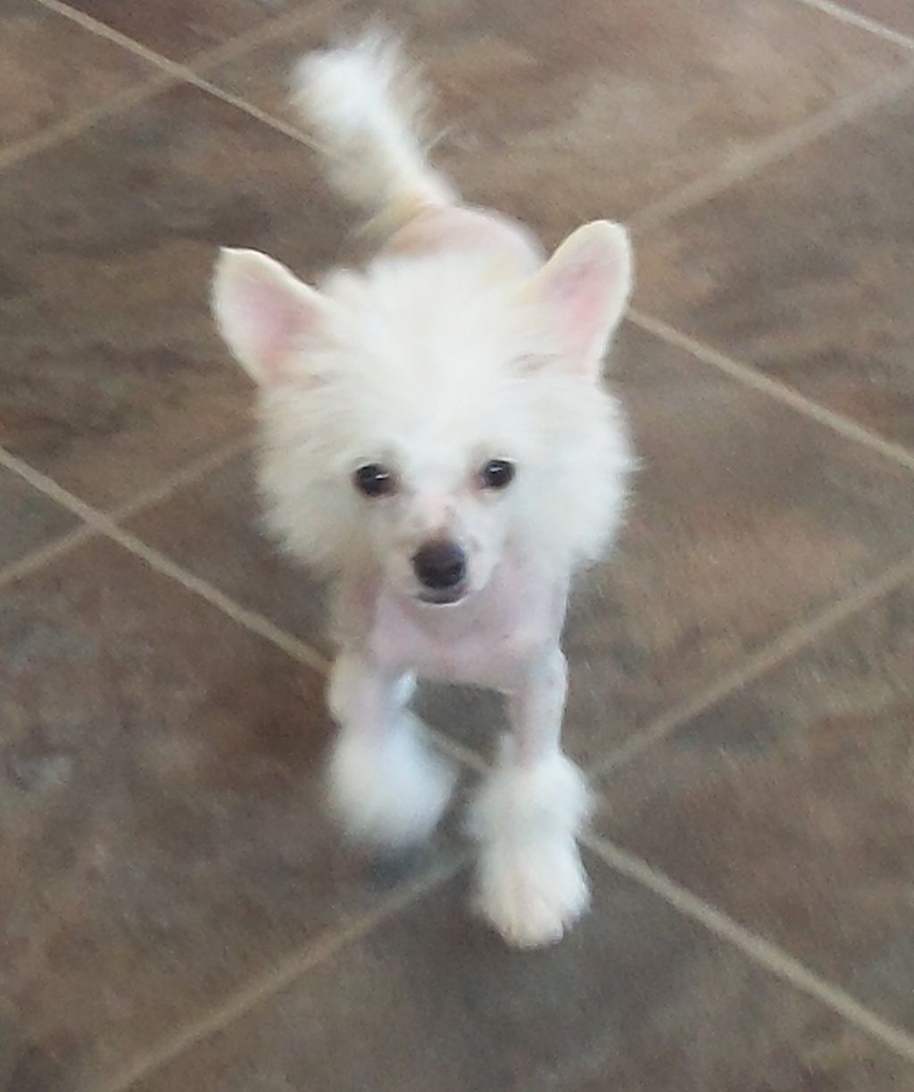 Creekside's Puttin It All Together