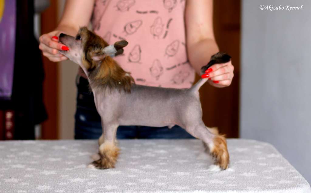 Co Za Unikat Akizabo