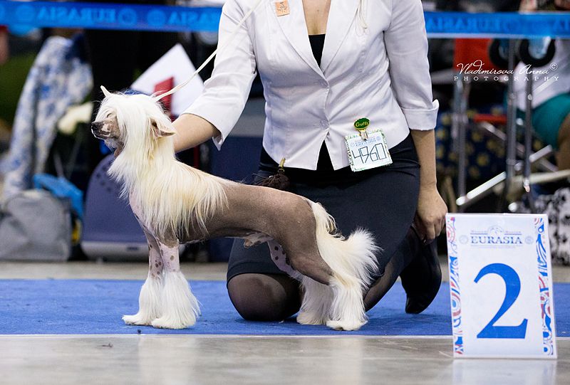 My Vanity Fair La-Tte Macchiato