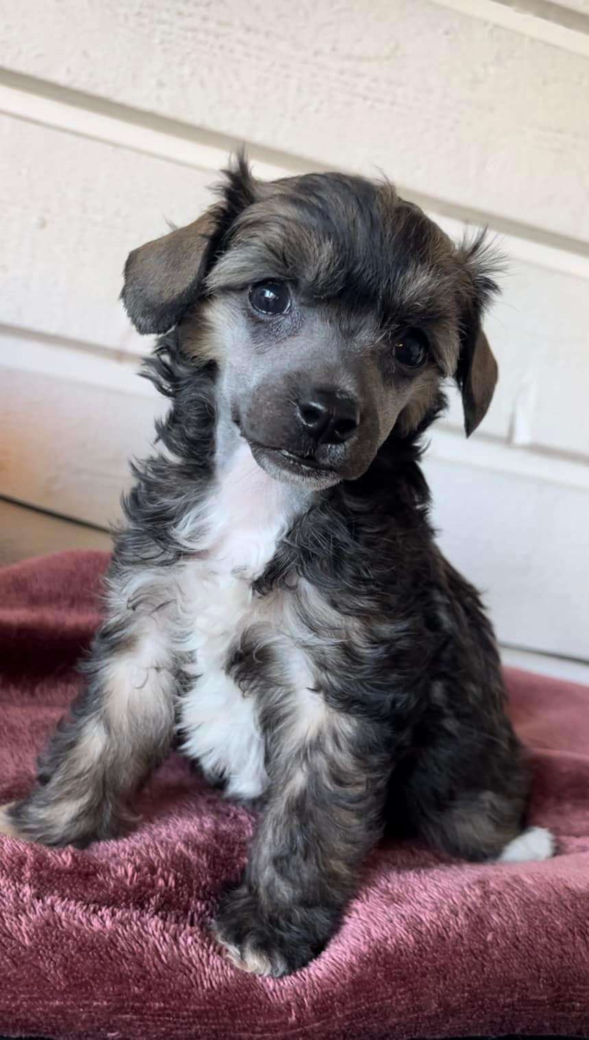 Swerotts Good For You