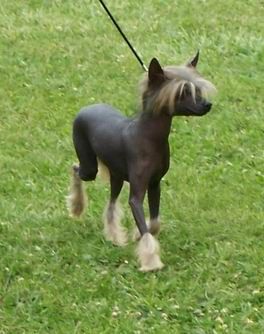 Kara Omahyra Poarott