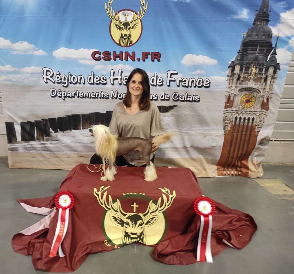 Ch.Il était une fois Only treize or