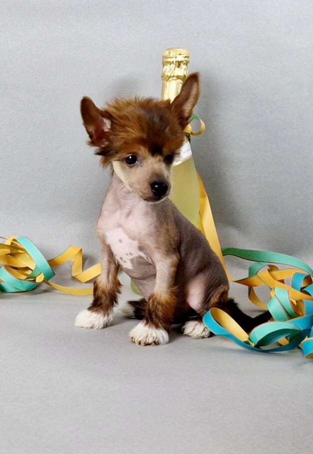 Quecksilber von Natelberg