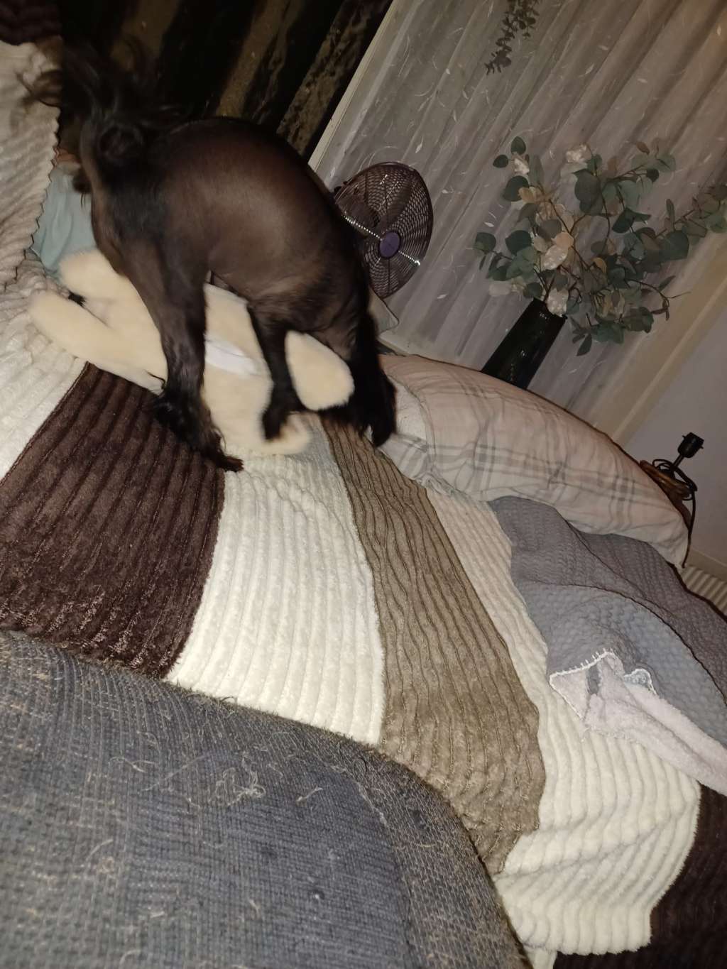 marry me of ria s pride