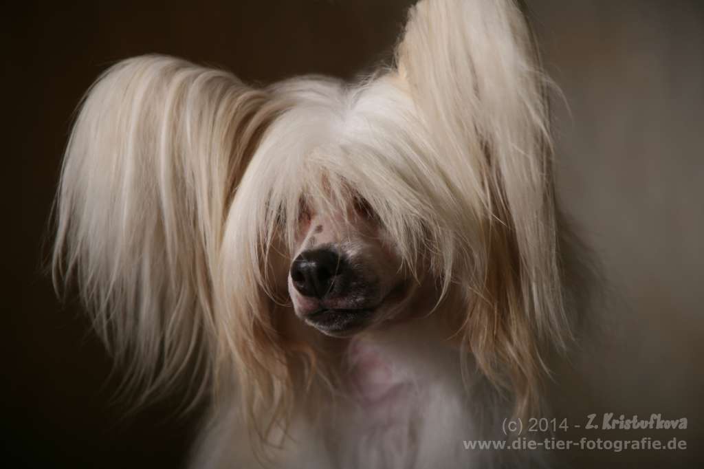 Frendor's Life Style