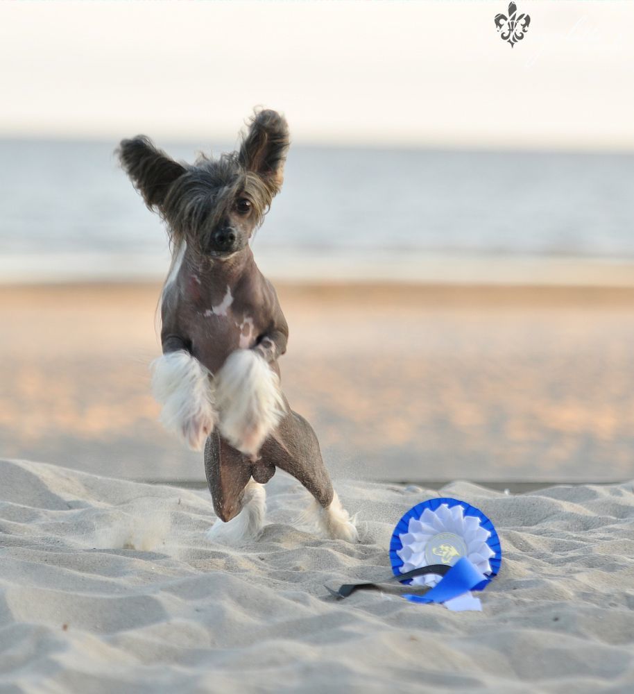 Royalette's Bond James Bond