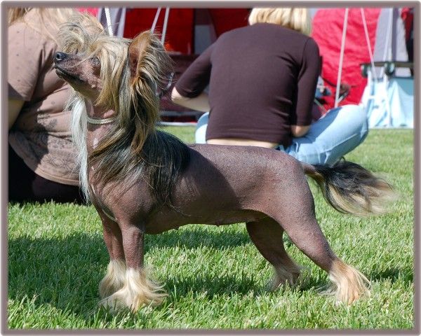 For Our Eyes Top Model De Rama