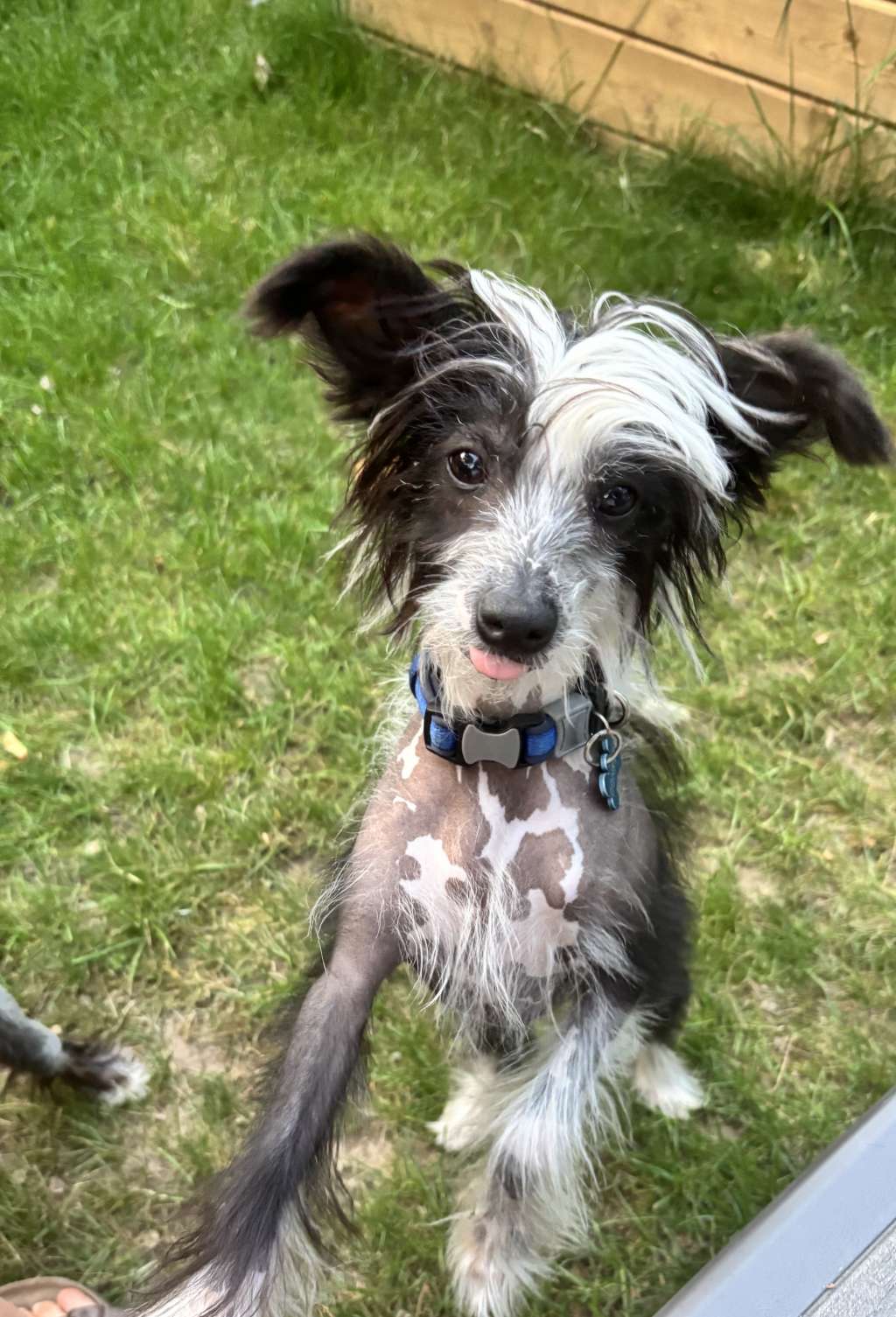 Moonbeam Making Waffles With Gardine