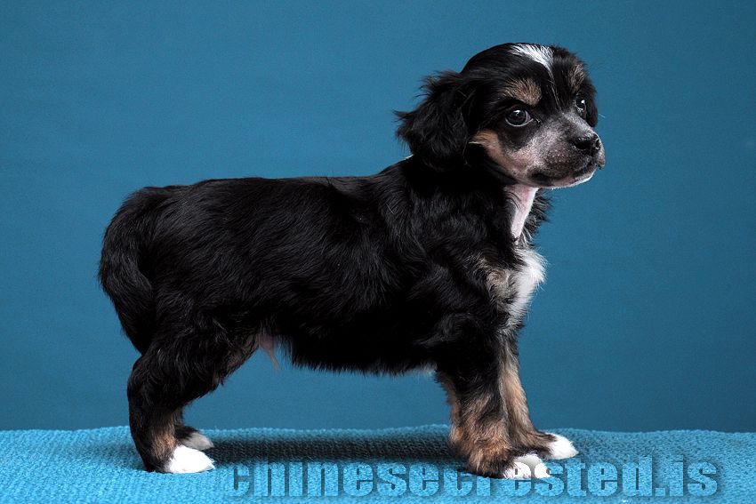 Practical Hero Publish Me Please