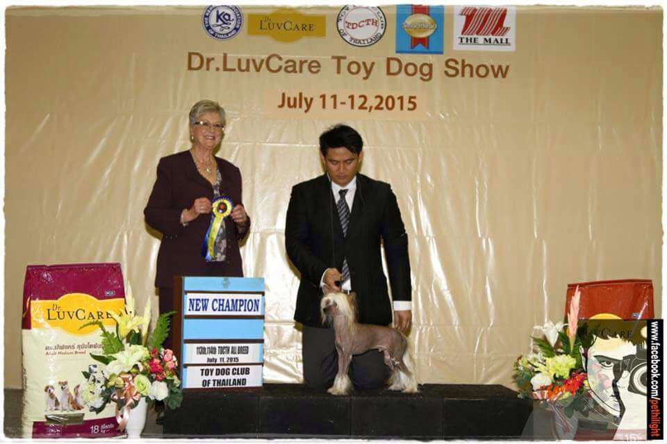 TAICH De Aanhouder Wint Di China Latina