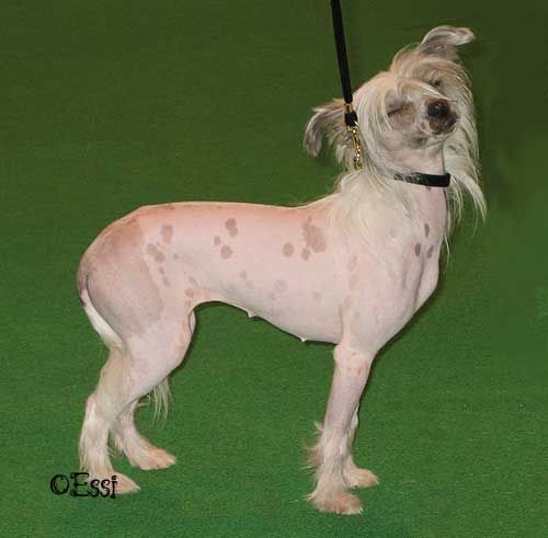 Philandiane You Needed Me At Khanor