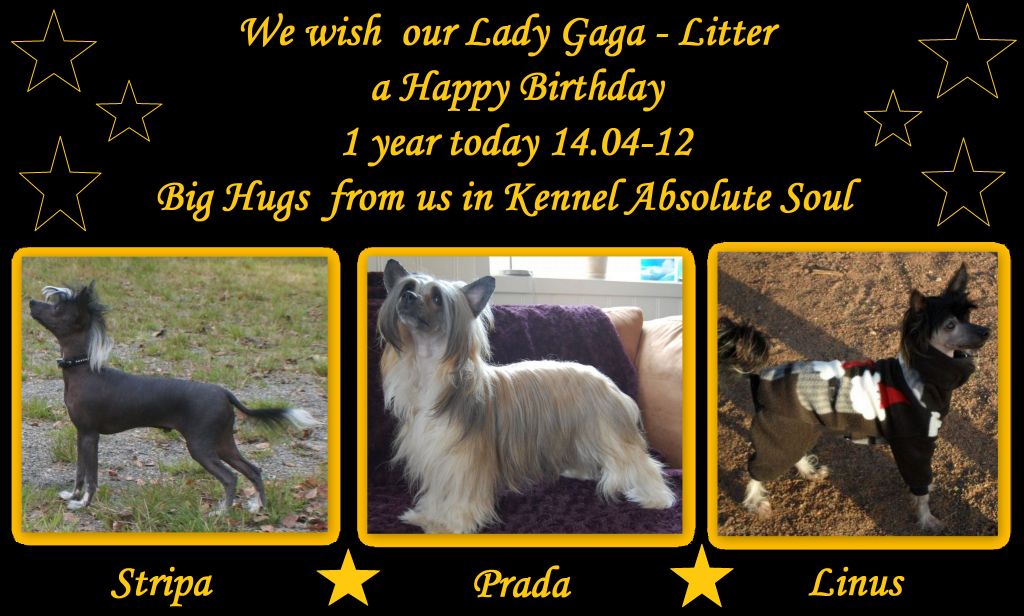 Absolute Souls Bad Romance