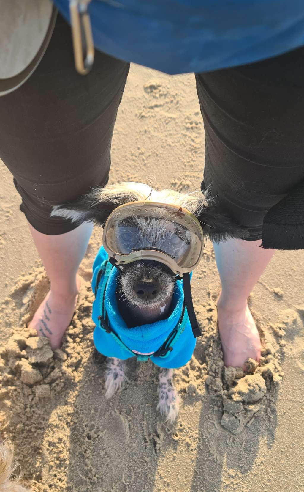 Solnechnyi Veter iz Sozvezdiya Khana