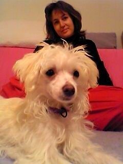 Genjiva la guapa gloria of Powder Dream 