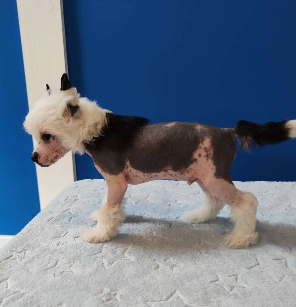 Je T'aime Crystal Ice