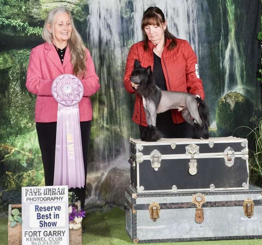 Wind N Gracieux Paint Him Black