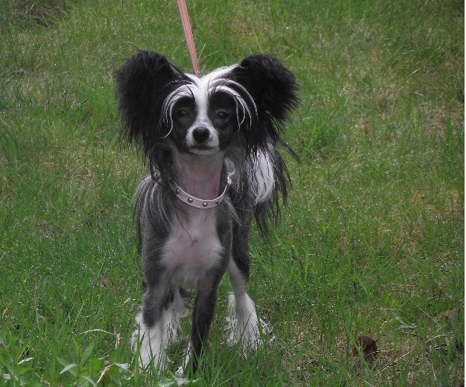 Chattanooga's Goodnight Kiss