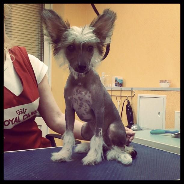 Orero Lovely Entered To Win