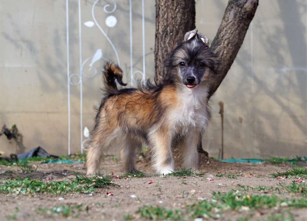 Know Me Love Me Heybett