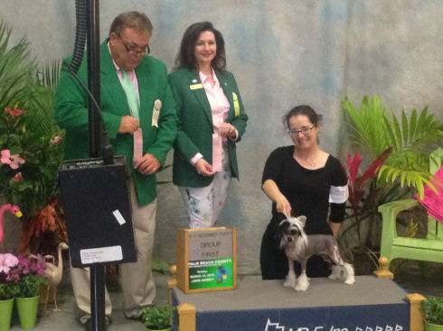 Stillmeadow That's All Folks!