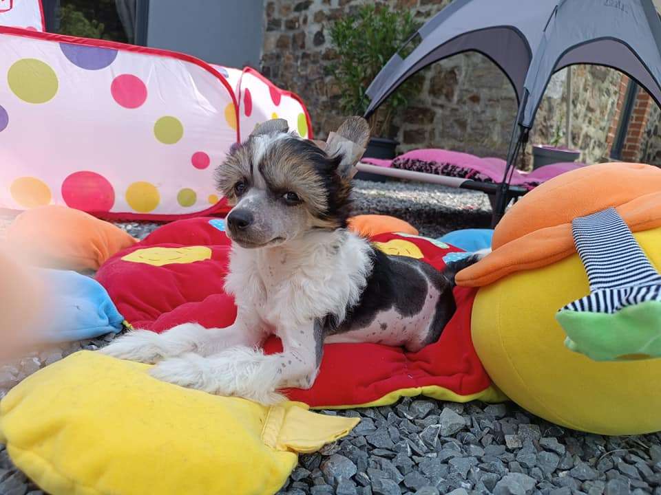 Il était une fois X Mantis