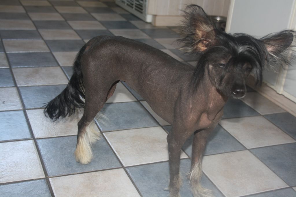 Nudaveritas Bijan Black