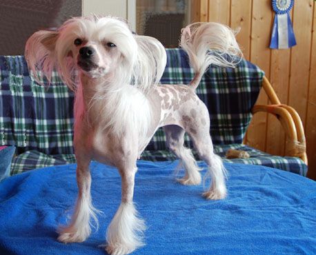 De La Mahafu's Ametist Be De