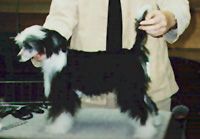 Cronhammar's Butterfingers