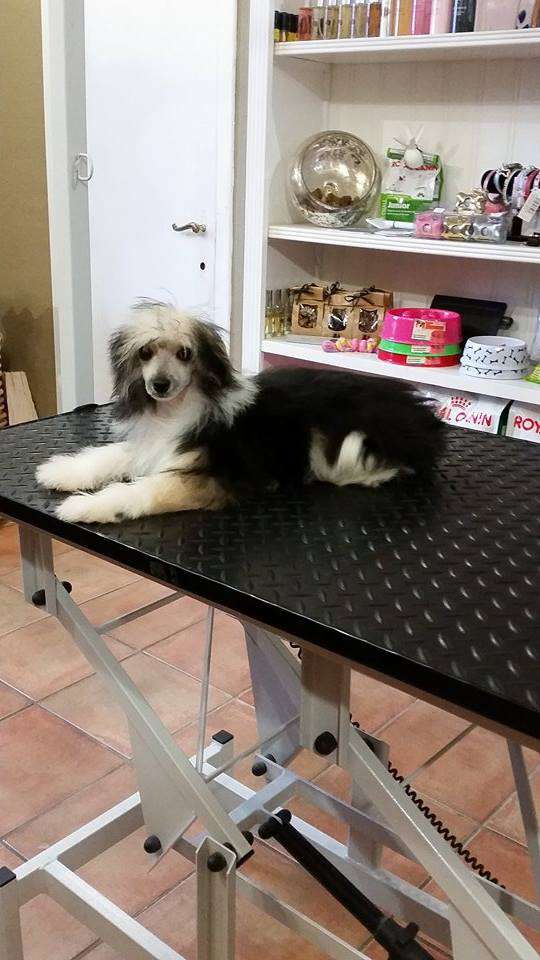 R'Nat Du pré des Trolls