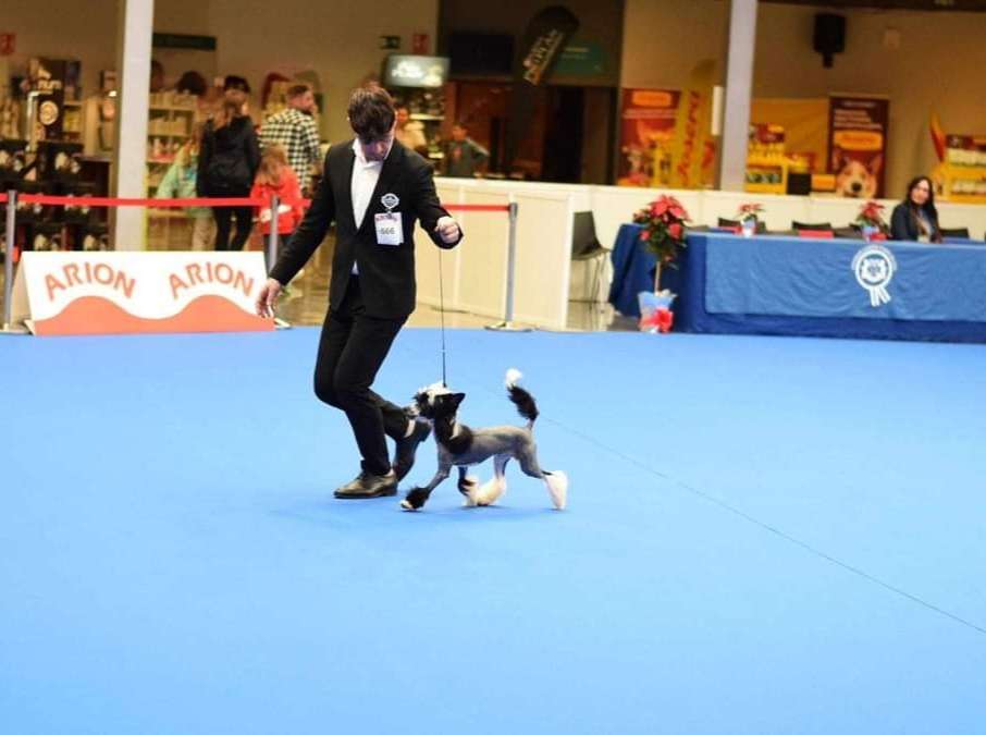 Sol'tanto Antonio Banderas