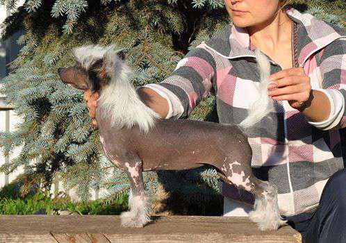 Ooh Yeah Winning Smile