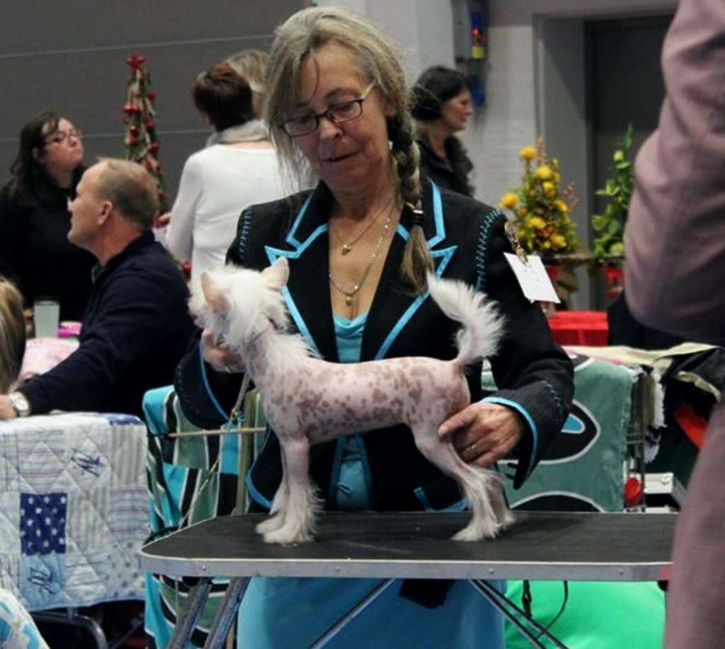 Suis Bee Ba Ba Lu Ba