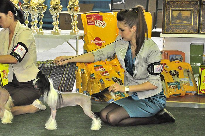 Status Imperial Power of Love 