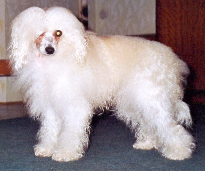 Bernardette od Bile lane