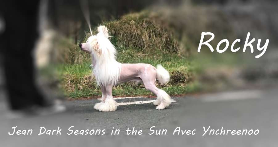 Jean Dark Seasons In The Sun